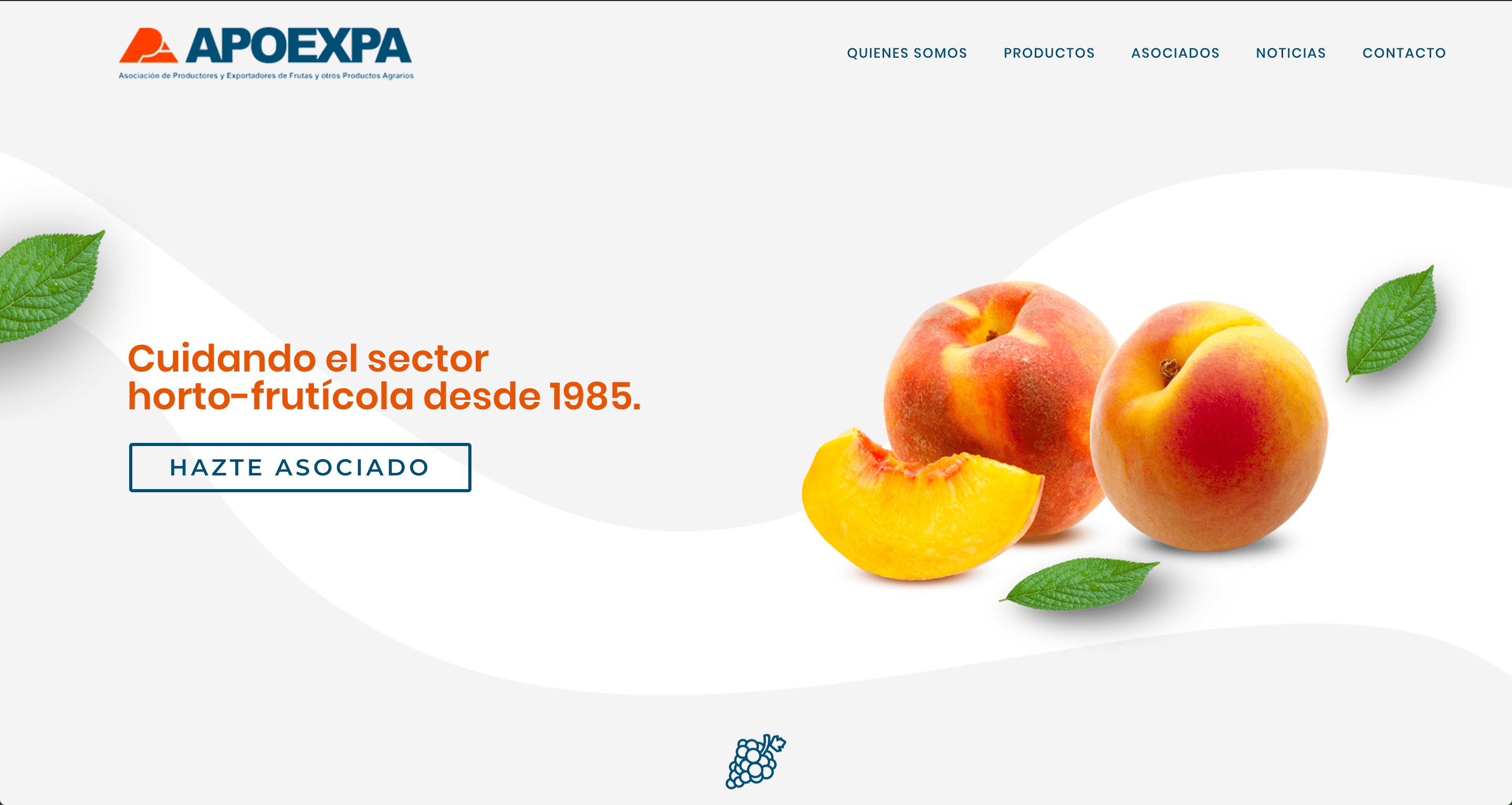 Apoexpa launches a new website