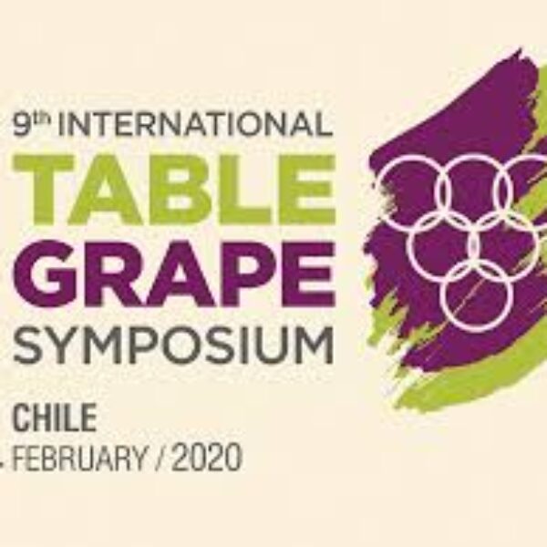 Apoexpa’s presence at the Ninth International Table Grape Symposium in Chile